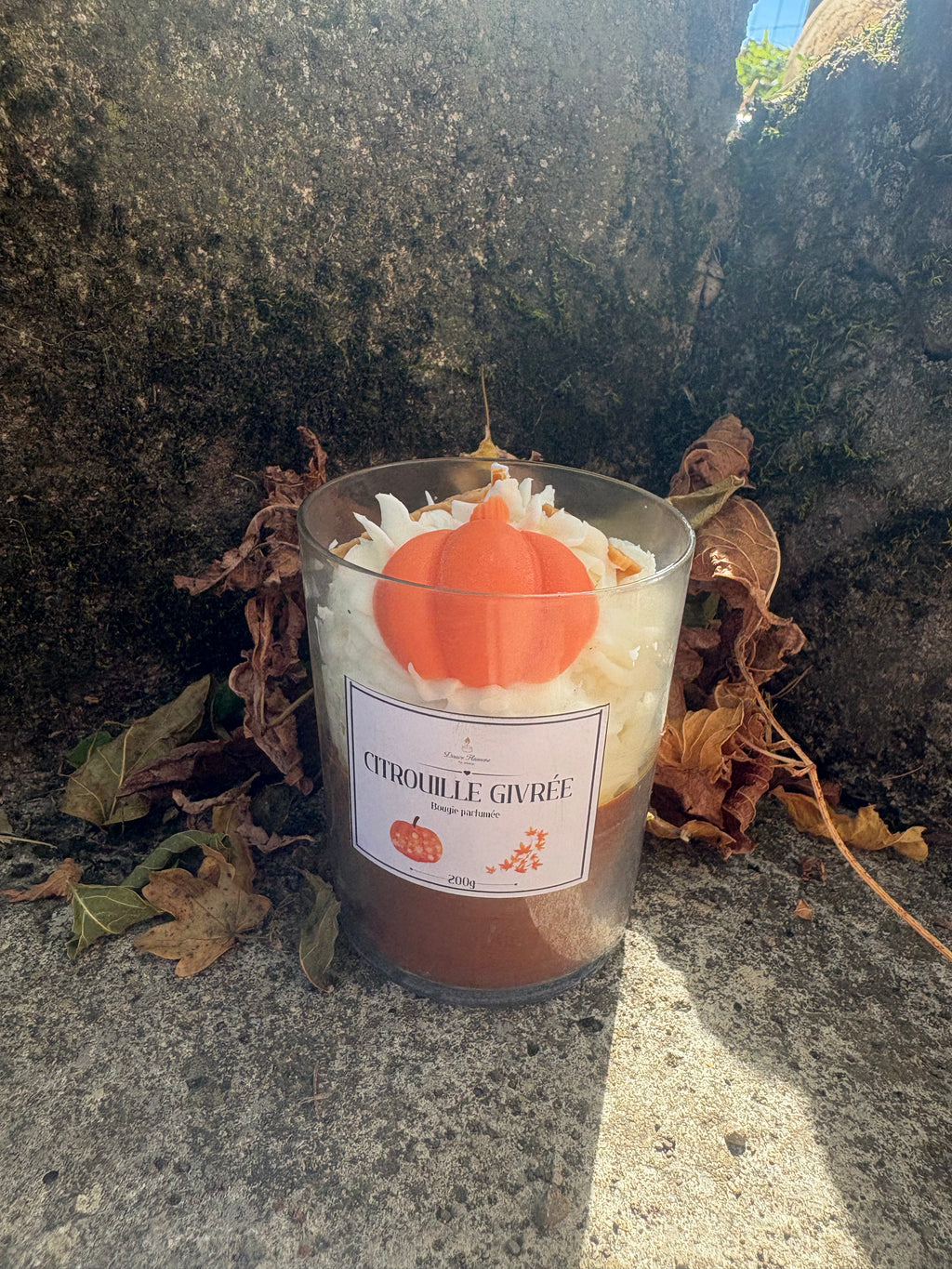 Citrouille Givrée
