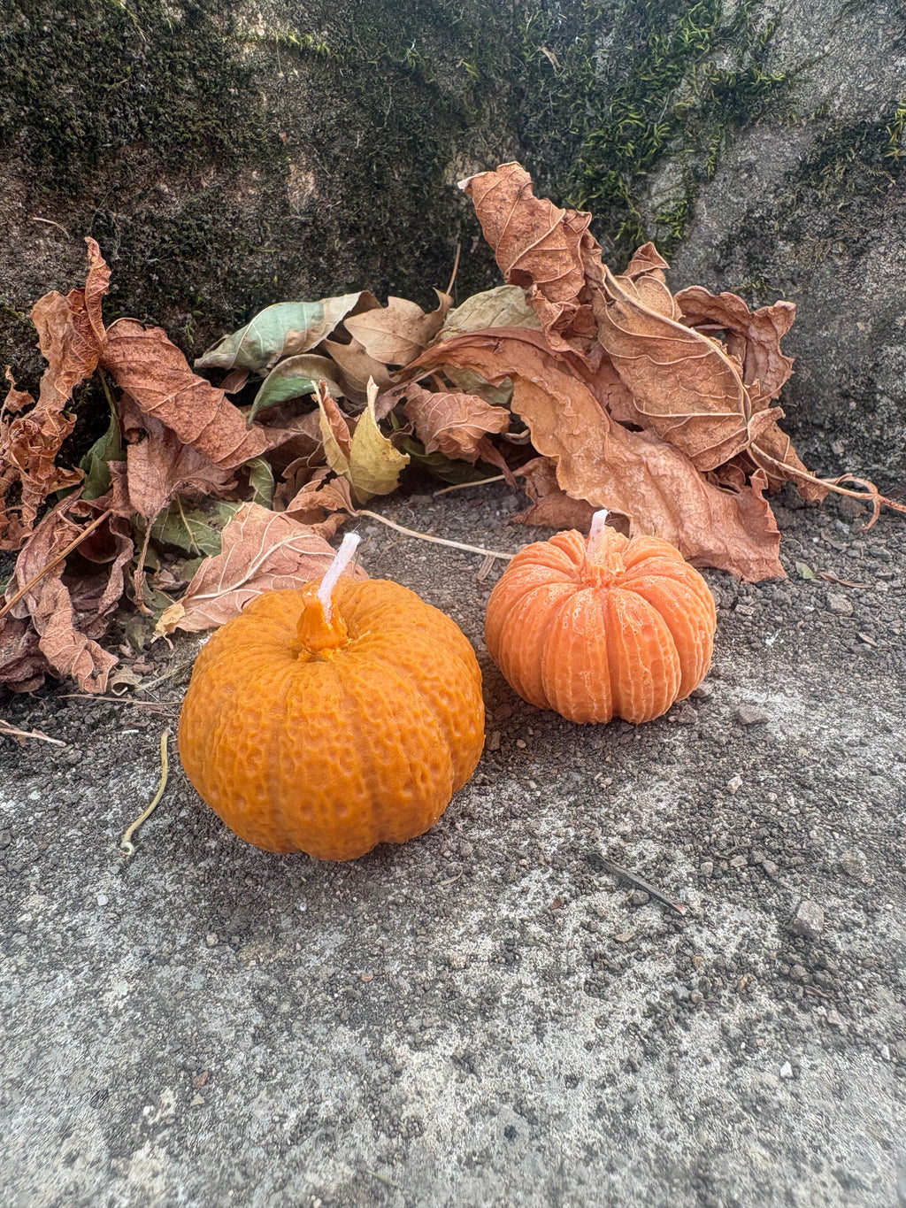Citrouilles - Non parfumée