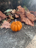 Citrouilles - Non parfumée