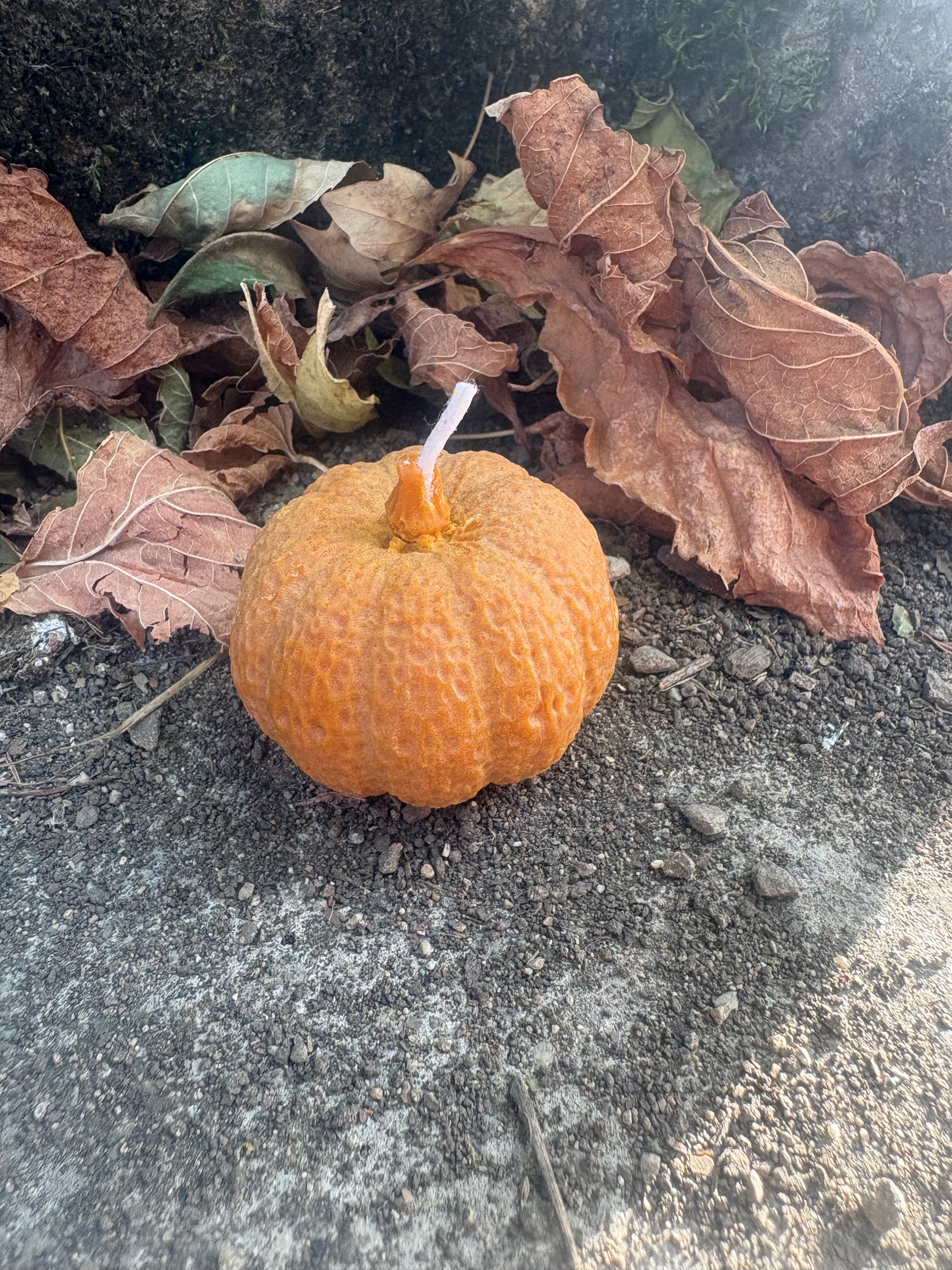 Citrouilles - Non parfumée