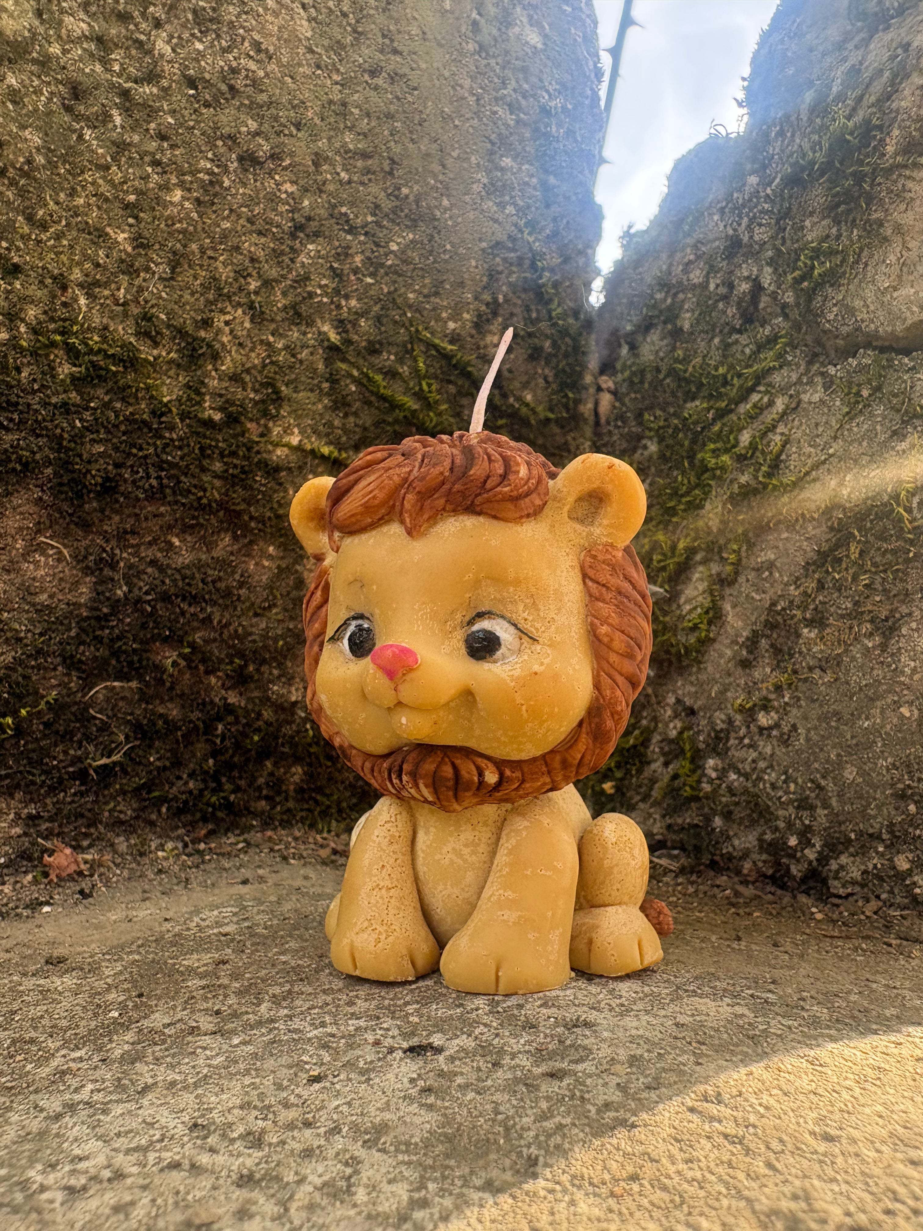 Lion - Non parfumée